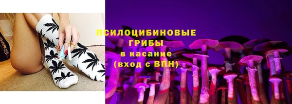 ECSTASY Алексеевка
