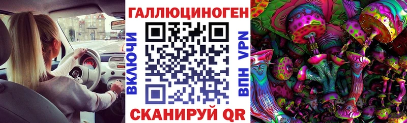 Галлюциногенные грибы Psilocybe  Звенигово 